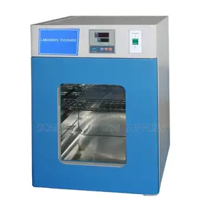 Thermostatic Heating Incubator