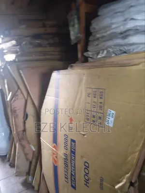 Bonnet Rx350 2016-2019