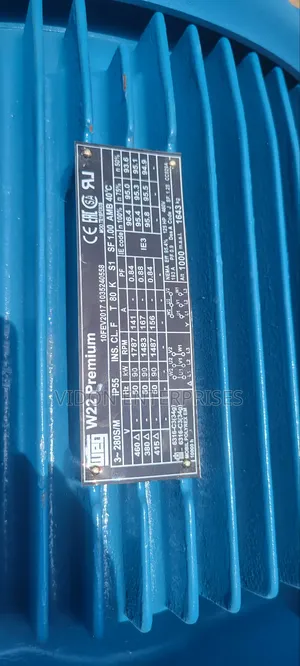 Weg Electric Motor