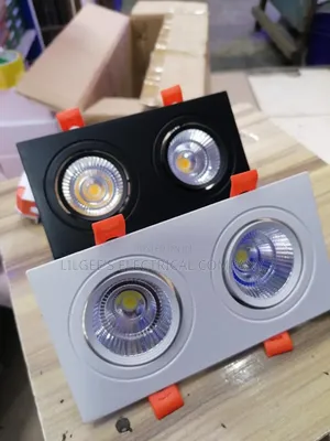 Ultra Modern Two Way Recess Light