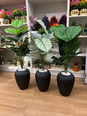 Oval Black Pot Flower