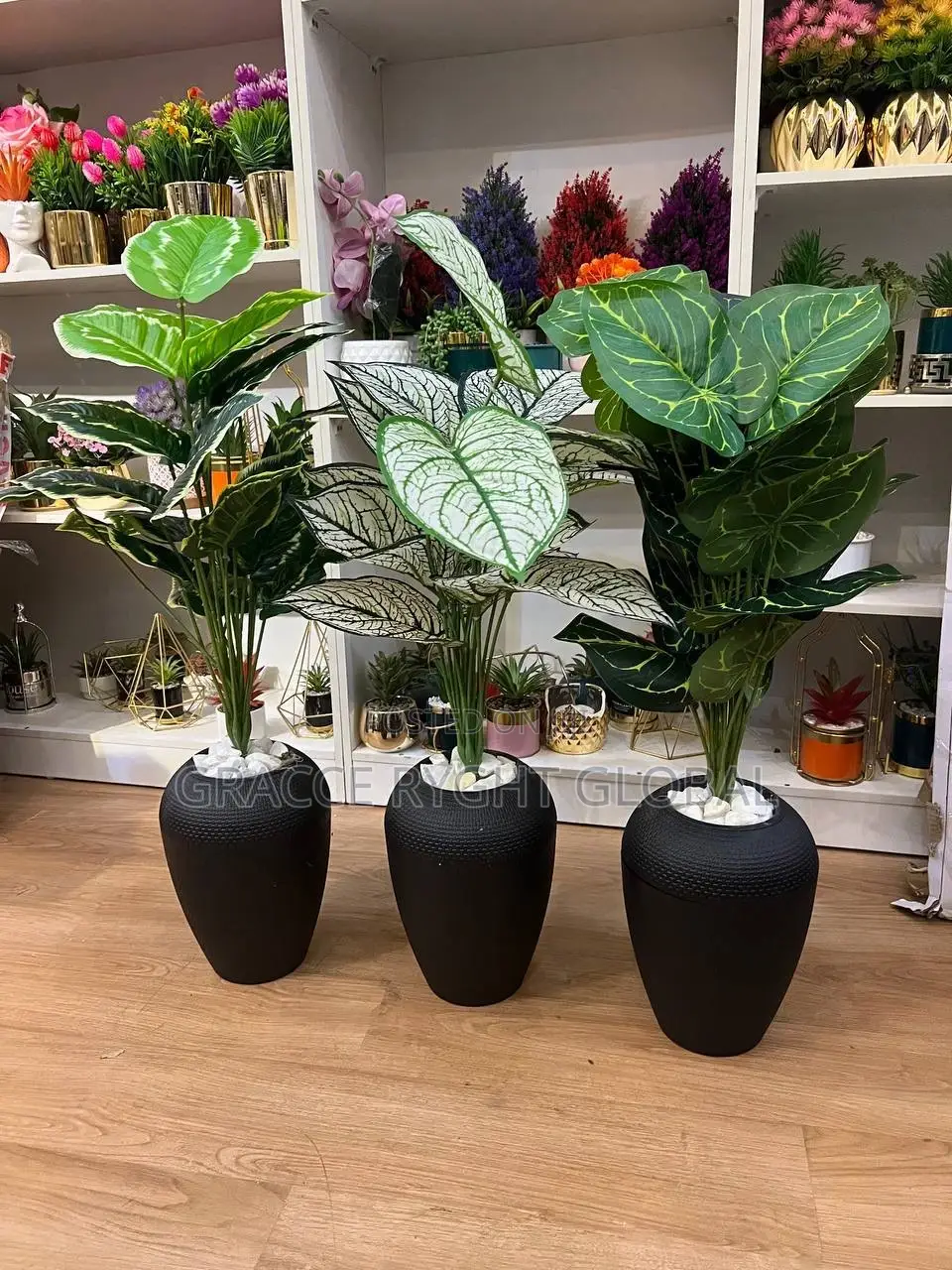 Oval Black Pot Flower