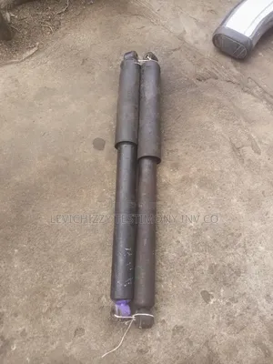 Back Shock Ford F150