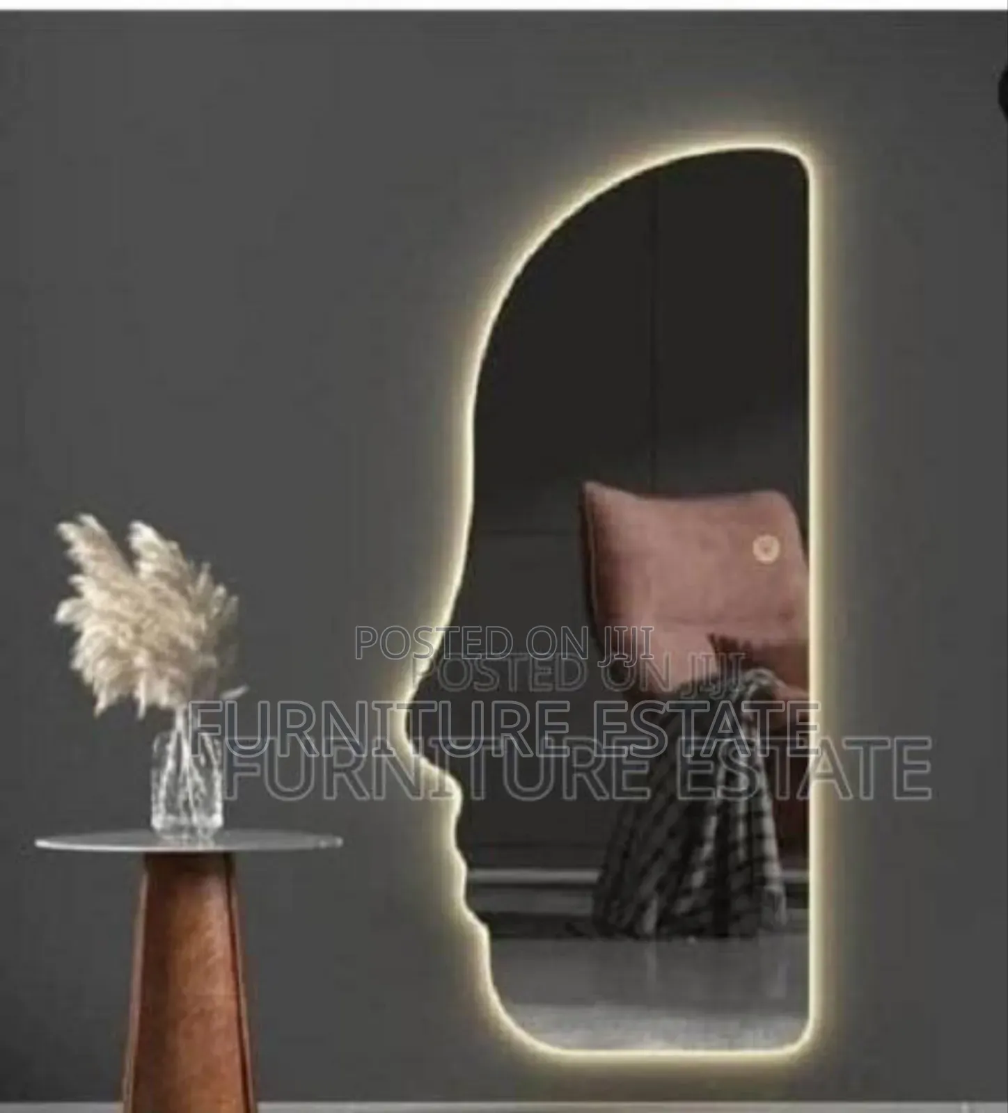 Modern Led Light Mirror With Plastic Frame