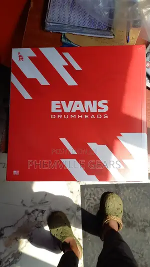Original Evans Reverse Dot Drumhead