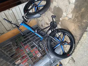 Fat Tyre Alloyed Bicycle