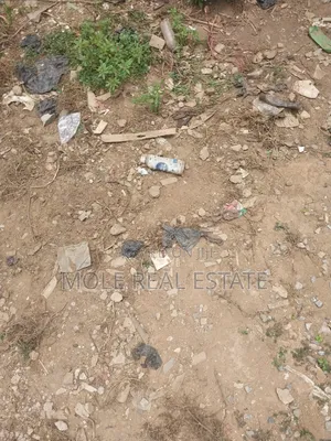 Distress Ijegun Ijegemo Full Plot Near New Road