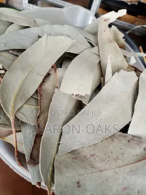 Eucalyptus Leaf 1kg