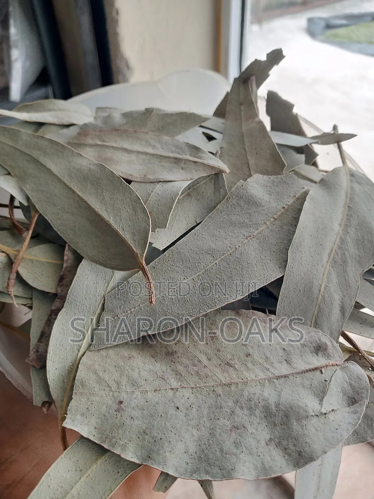 Eucalyptus Leaf 1kg