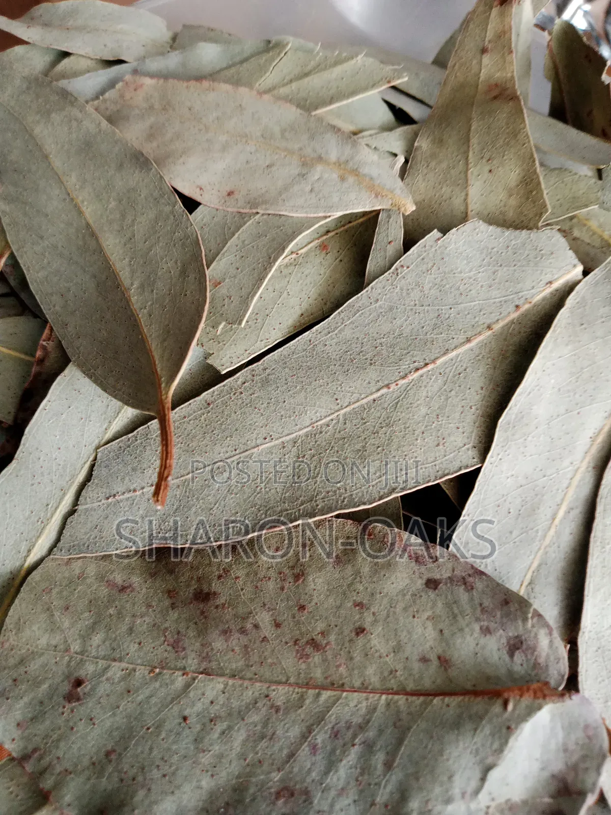 Eucalyptus Leaf 1kg