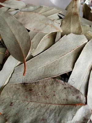 Photo - Eucalyptus Leaf 1kg