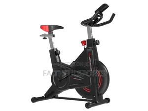 Best Quality New Spinning Bike American Brand
