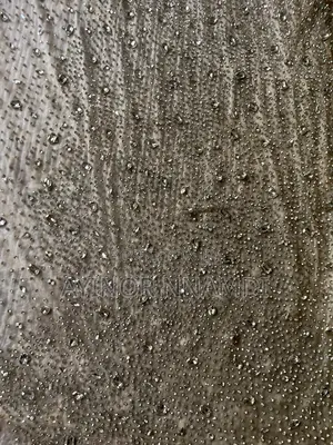 Ashoebi George Indian Sari