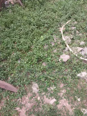 KLM of Verified Farm Land Odeda Ogun State