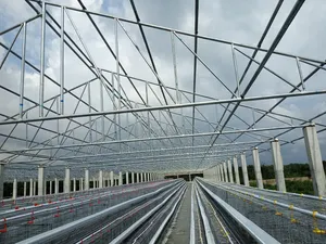 Poultry Cage for Famers