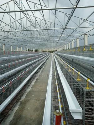 Poultry Cage for Famers
