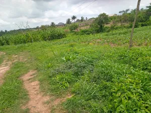 Photo - Housing Land