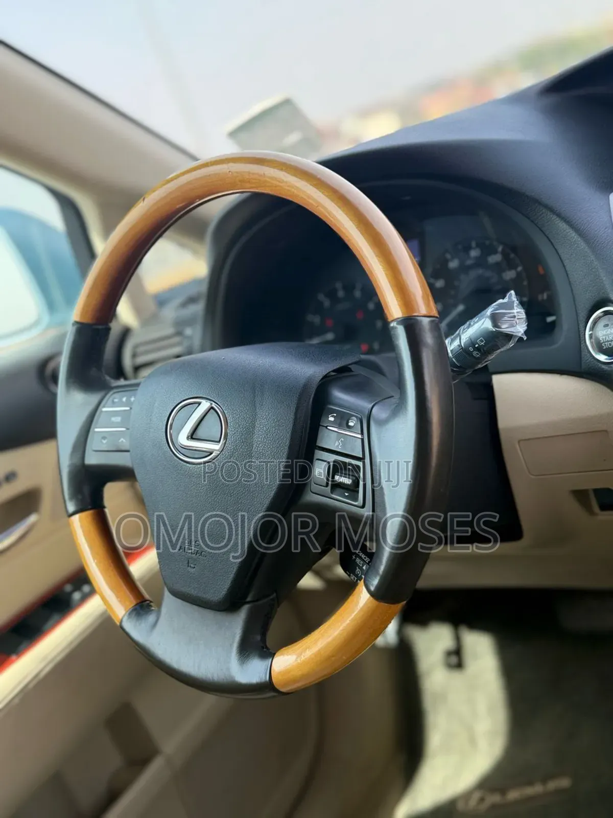 Lexus RX 2010 Blue