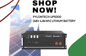 Pylontech 5000uf 48v Lithium Battery