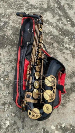 Photo - Black and Gold Premier England Alto Saxophone