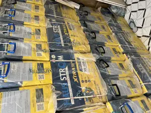 Haustrom 220a Indian Battery