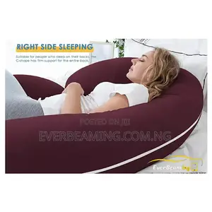 Pregnancy Maternity and Relaxation Pillows _ Wine