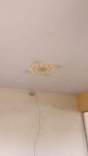House Ceiling Installation