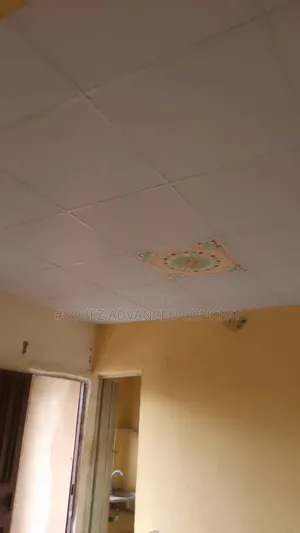 House Ceiling Installation