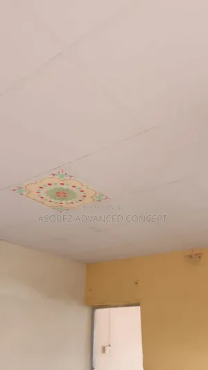 House Ceiling Installation