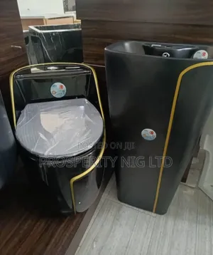 Complete Set Luxury Top Flush Toilet