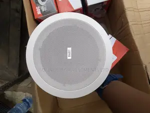 Ceiling Speaker