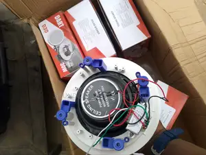 Ceiling Speaker