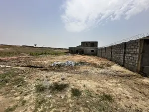 Estate Allocation