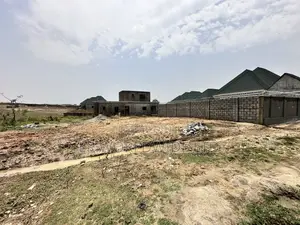 Estate Allocation