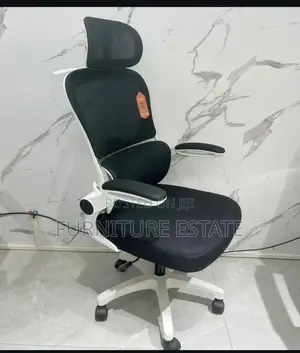 Ergonomic Super Executive Office Swivel Chair