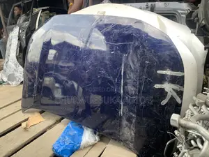 Bonnet Rav4 2020
