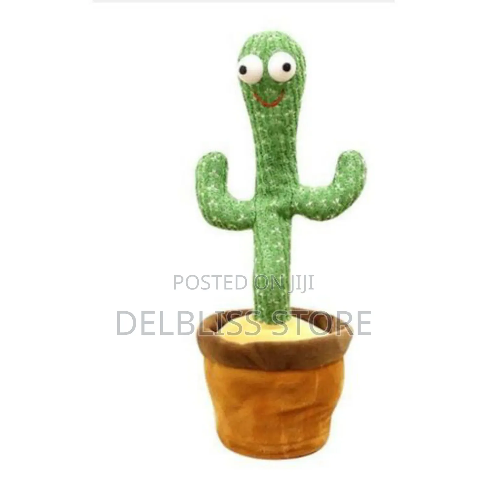 Cactus Dancing Plant