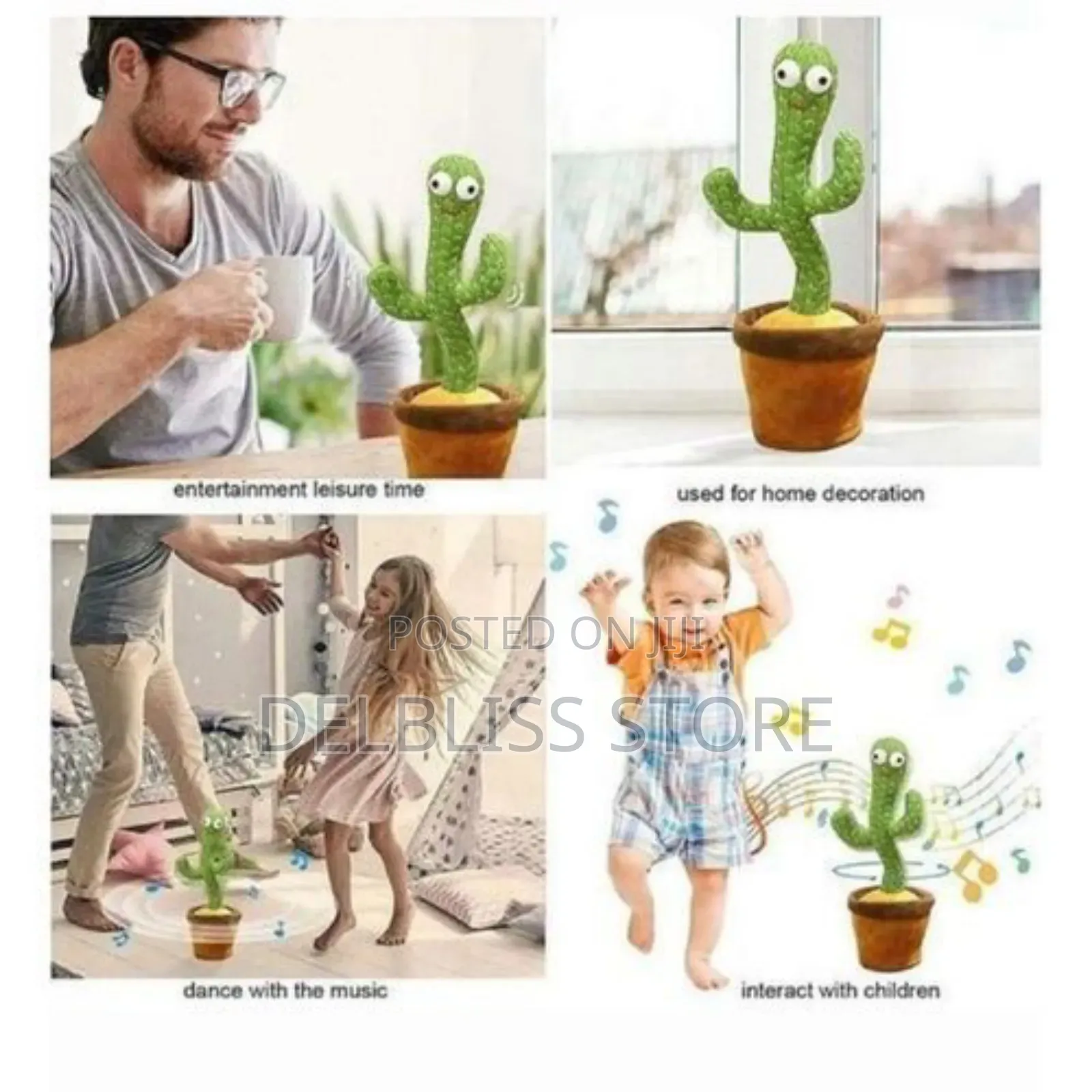 Cactus Dancing Plant