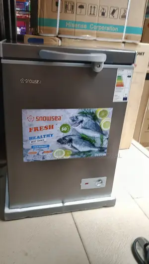 Snowsea Low Voltage  Deep Freezer