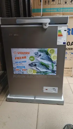 Snowsea Low Voltage  Deep Freezer