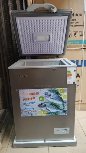 Snowsea Low Voltage  Deep Freezer