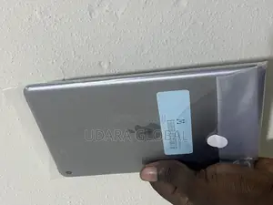 Apple iPad mini 4 16 GB Gray