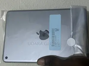 Apple iPad mini 4 16 GB Gray