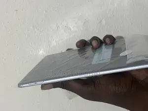 Apple iPad mini 4 16 GB Gray
