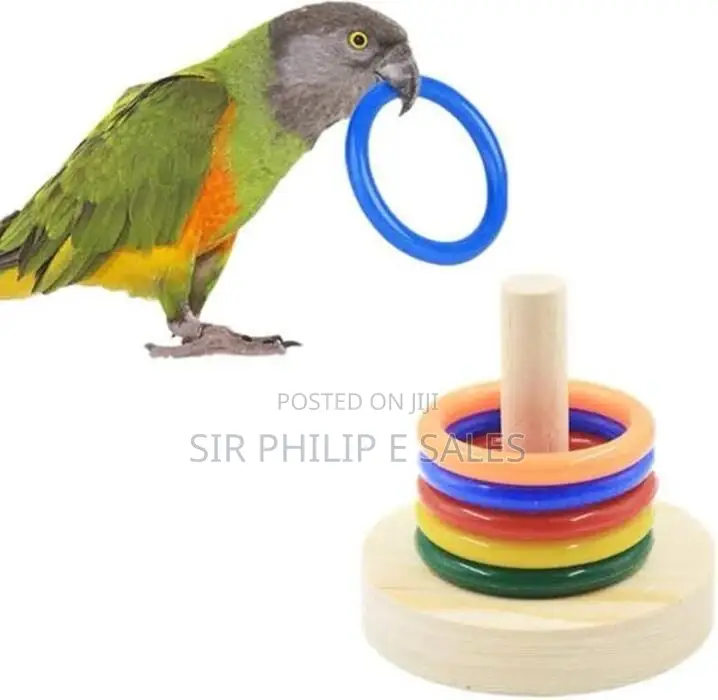 Parrot Training