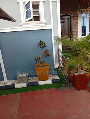 Concrete Potted Plant for Home, Hotel , Mall, School Decor