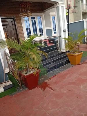 Concrete Potted Plant for Home, Hotel , Mall, School Decor