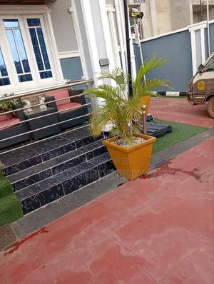 Concrete Potted Plant for Home, Hotel , Mall, School Decor