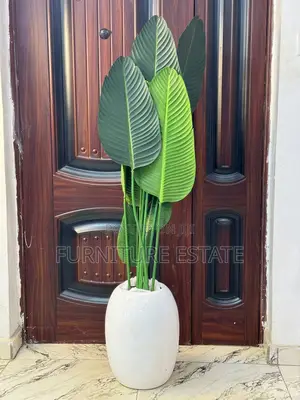 Timeless Imported Modern Flower Vase