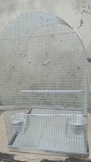 Well Built Local Cage for Your Parrot
